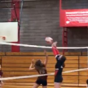 Meet your Posher, Adison